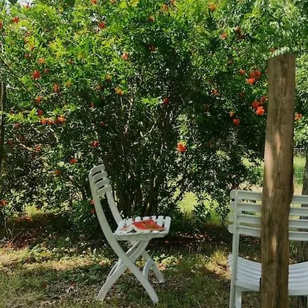 Hébergement de vacances Ferme Les Serieges Villenouvelle